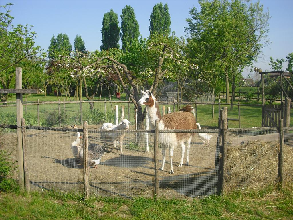 Campo San Martino Agriturismo La Penisola 게스트하우스 외부 사진